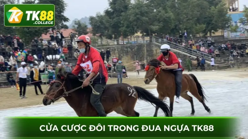 Cuoc-doi-voi-kha-nang-thang-thuong-dua-ngua-lon-hon 