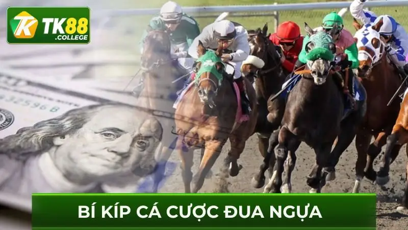 Bi-kip-ca-cuoc-dua-ngua