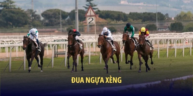 Đua Ngựa Xèng